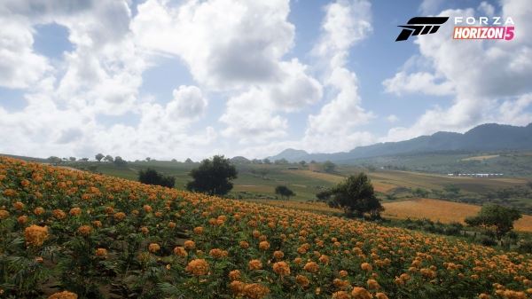 Новые скриншоты Forza Horizon 5, демонстрирующие различные локации